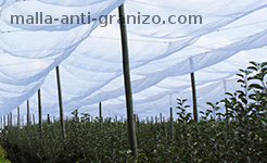 red-anti-granizo-para-proteger-los-cultivos-de-radiacion-solar